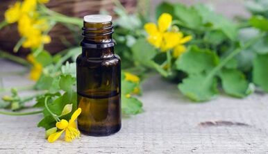 Juice Celandine for the treatment of nail fungus